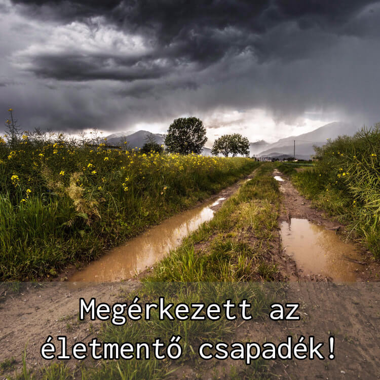 megérkezett az életmentő csapadék