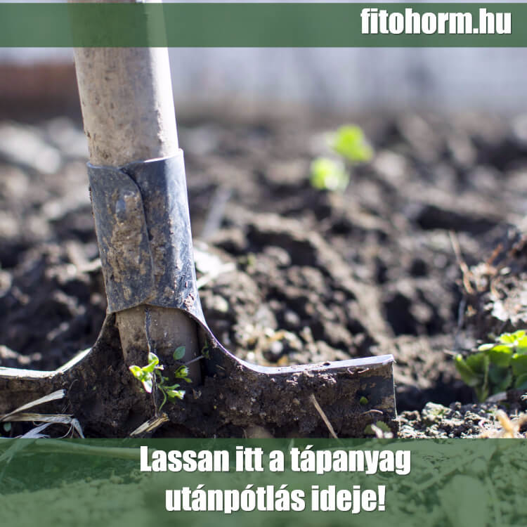 Őszi tápanyag utánpótlás