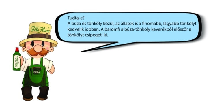 Tudta-e a kalászosokról?